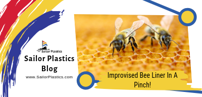Improvised Bee Lining Box In A Pinch