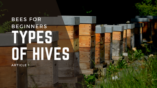 Beehives, Different Types and Styles - Bees4Beginners 1